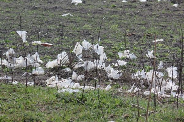<br />
						В Дагестане обнаружено загрязнение полей полиэтиленовой пленкой