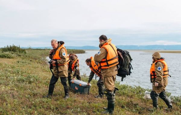 <br />
						Два из 15 озер в Норильском промрайоне оказались нарушенными