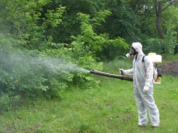 <br />
						Минприроды России скорректировало законопроект об использовании пестицидов в природоохранных зонах