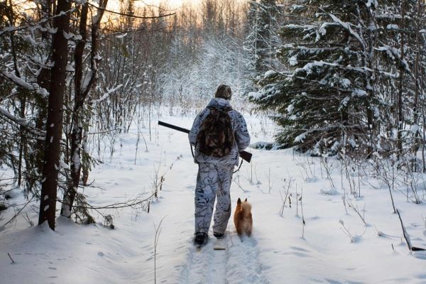 <br />
						В Приморье просят запретить охоту в четырех районах ЧС