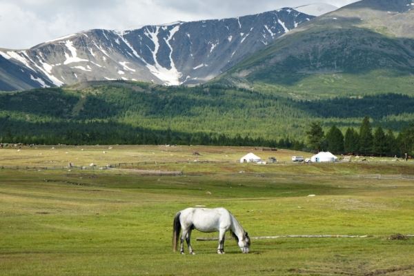 Как и зачем российскому туристу ехать в Монголию