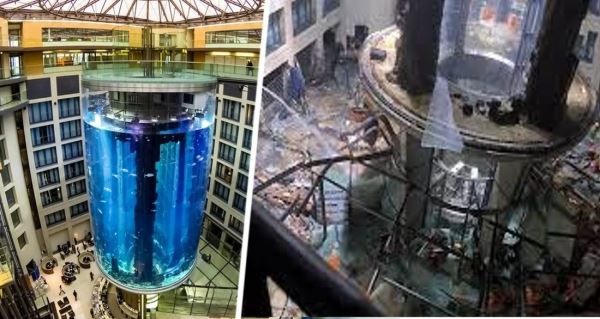 Мы услышали сильный взрыв в отеле: туристы поплыли с рыбами после уничтожения самого большого в мире аквариума
