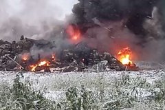Почти тысяча поросят заживо сгорели на ферме в приграничном российском регионе