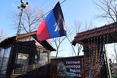 Попавшего под обстрел в Донецке Рогозина транспортируют в Москву