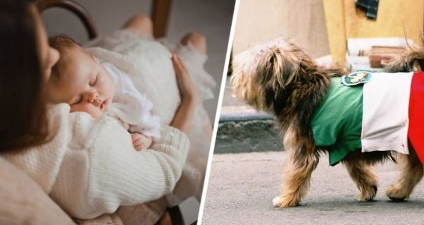 Россиянка в популярной стране поняла, что там проще родить ребенка, чем завести собаку