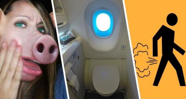 Зеркало вымазано фекалиями и пассажирка жарит рыбу сидя в кресле самолета: стюардесса сообщила всю правду о своей работе