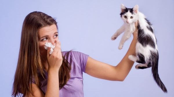 <br />
						Скоро можно будет привиться от аллергии на кошек